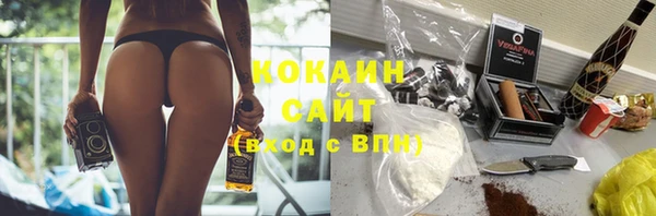 индика Балабаново