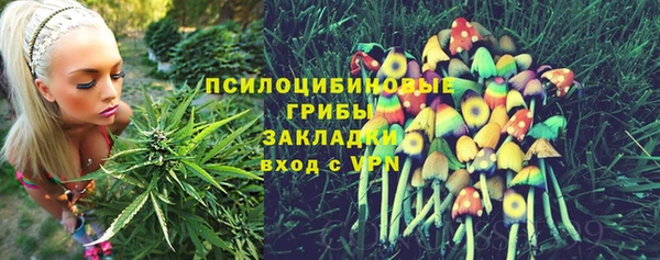 экстази Осташков