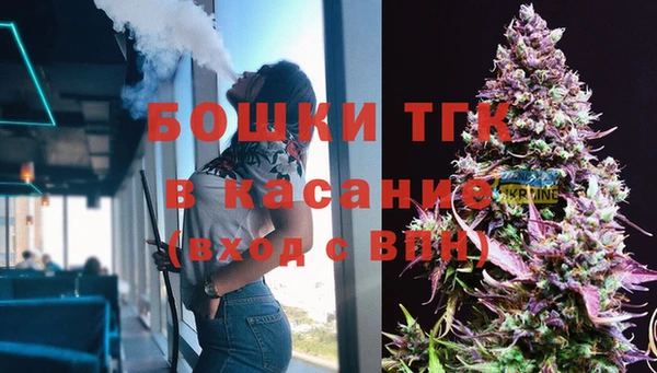 индика Балабаново