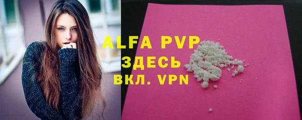 индика Балабаново