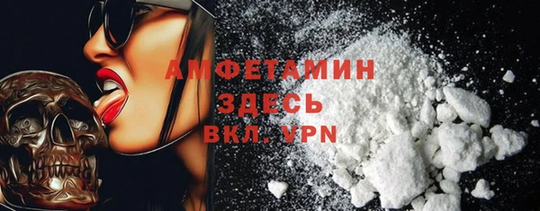 индика Балабаново